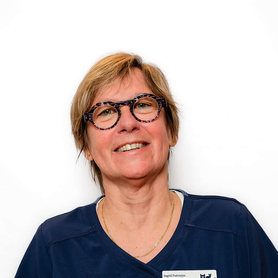 Ingrid Putcuyps